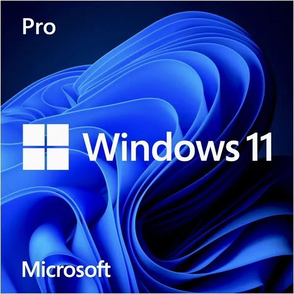 Windows 11 Pro 64Bit Italiano Box Usb Con Licenza Originale 1 Pc