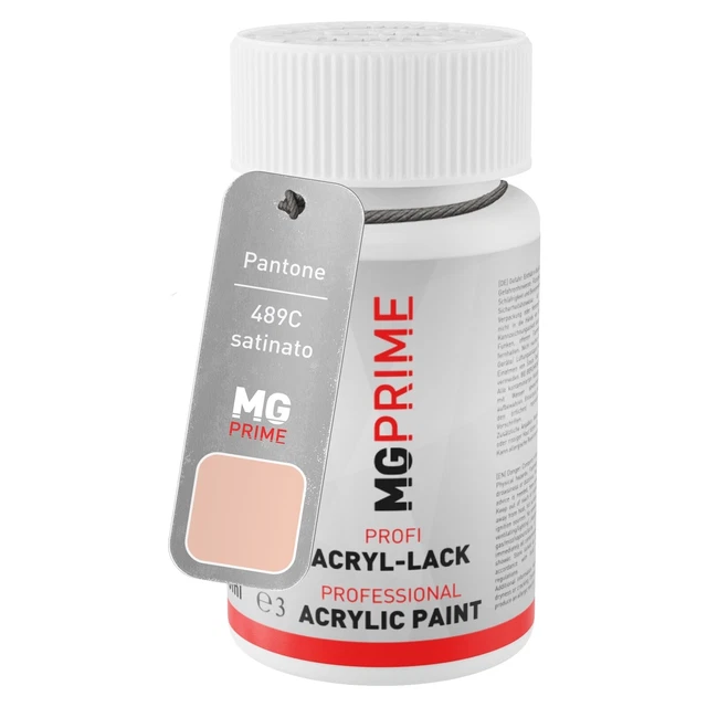 Pantone 489C Red Orange satinato Stilo di ritocco da 50 ml ad asciugatura rapida