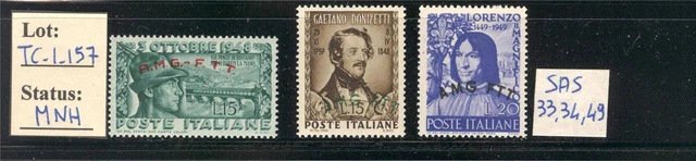 TC_1_157. TRIESTE (AMG FTT). Lot of 1948/1949 stamps. MNH. Great CV !