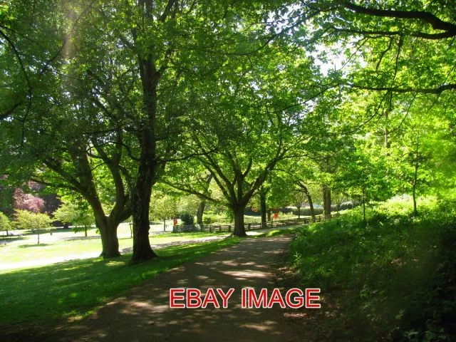 Photo  Pontypool Path By The Pond Sun Shining Through The Trees Onto A Path Near