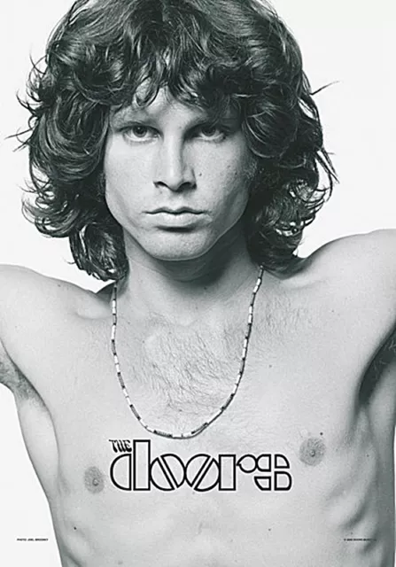 Jim Morrison Doors B&W large fabric poster / flag   1100mm x 750mm (hr)