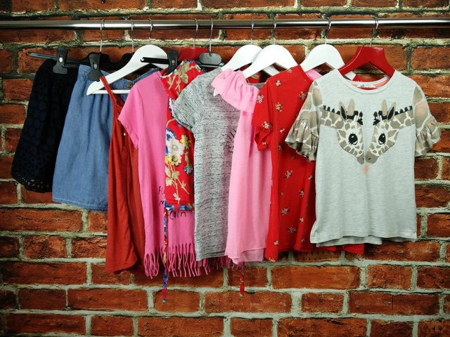 Childs Bundle Age 7-8 H&M Next Abercrombie Kids Summer Giraffe Tops Skirts 128Cm