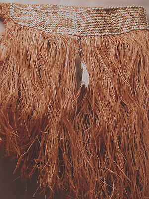African Textile Asmat Grass Skirt Native Clothing Raffia Cache Sex New Guinea 3