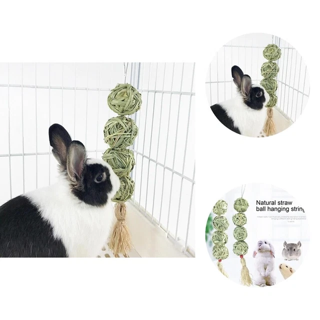 Snack hámster, portátil, confort emocional, mascotas pequeñas, apto para alimentos
