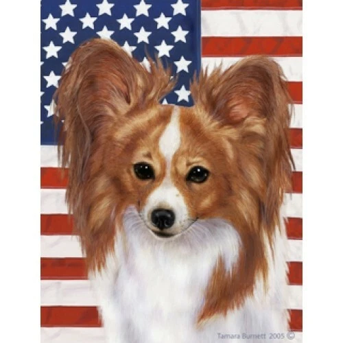Patriotic (D2) House Flag - Red and White Papillon 32064