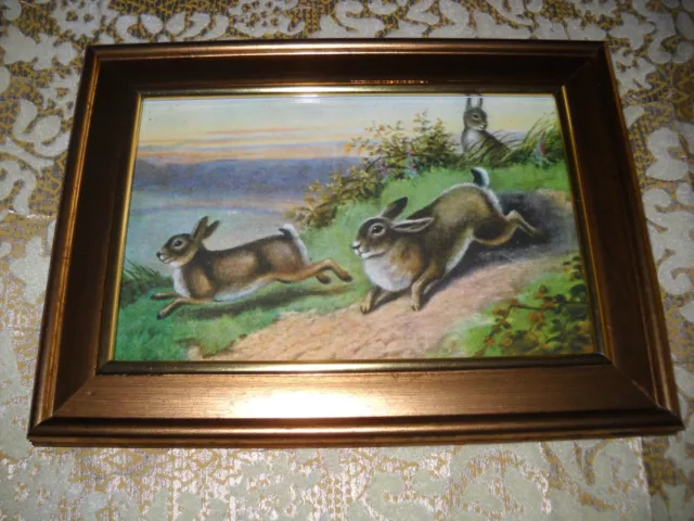 RABBITS RUN DOWNHILL 4 X 6 gold framed animal picture Victorian style print
