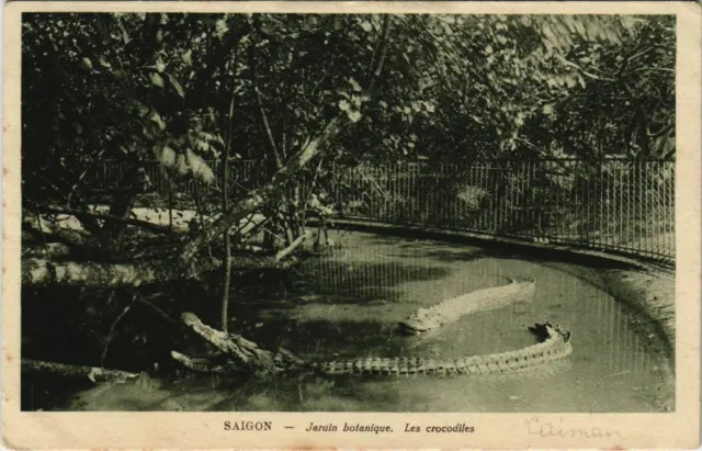 CPA AK VIETNAM COCHINCHINE Saïgon - Jardin botanique (62865)