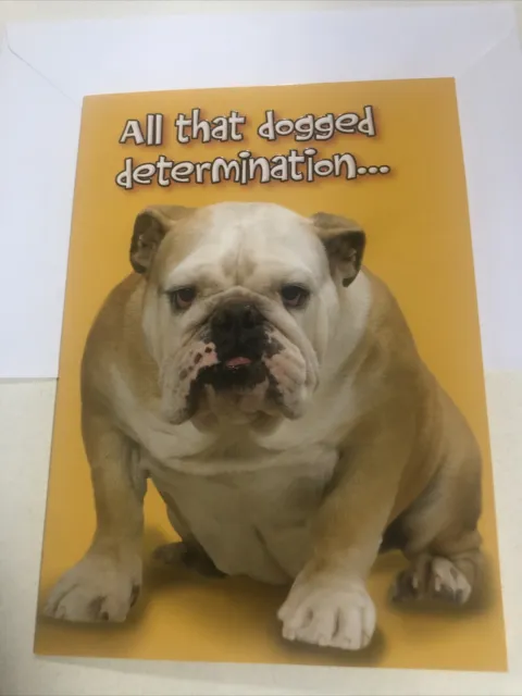 Congratulations All That Dogged Determination Funny Boxer Dog Greeting Card