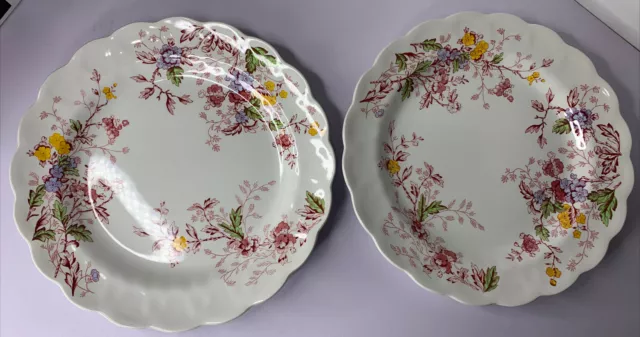 2 Vintage Ridgway ENGLISH GARDEN Dinner Plates Staffordshire England (I-150)