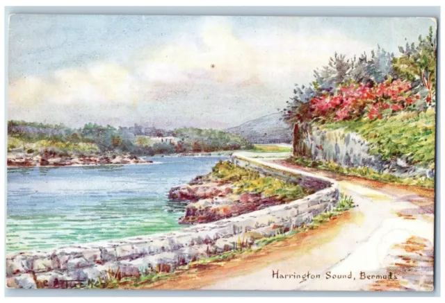 Harrington Sound Bermuda Postcard Scene at River Road Trees Flowers c1905