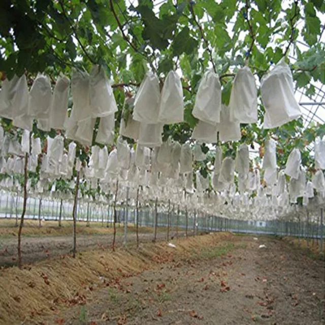 50PCS /Set Grape Protection Bags Against Insect Bird Pest Garden Practical