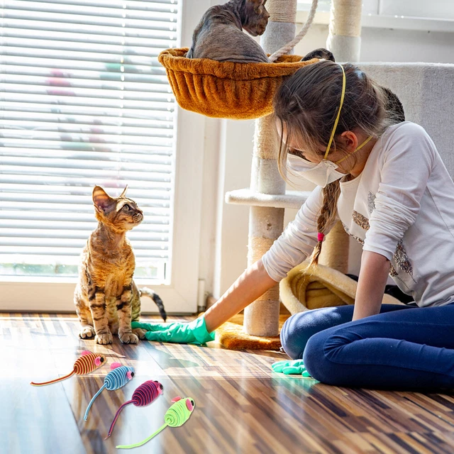 12 Pcs Exercise Cat Toy Cat Mice Toys Indoor Cats Catnip Toy Rc Toy Double Line 3