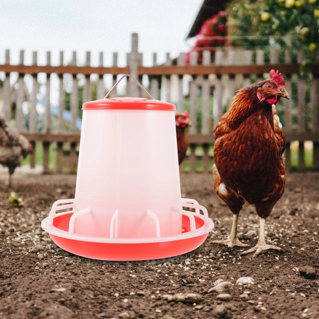 Mangeur de poussin en plastique Adoleur de volaille en plastique Accessoire