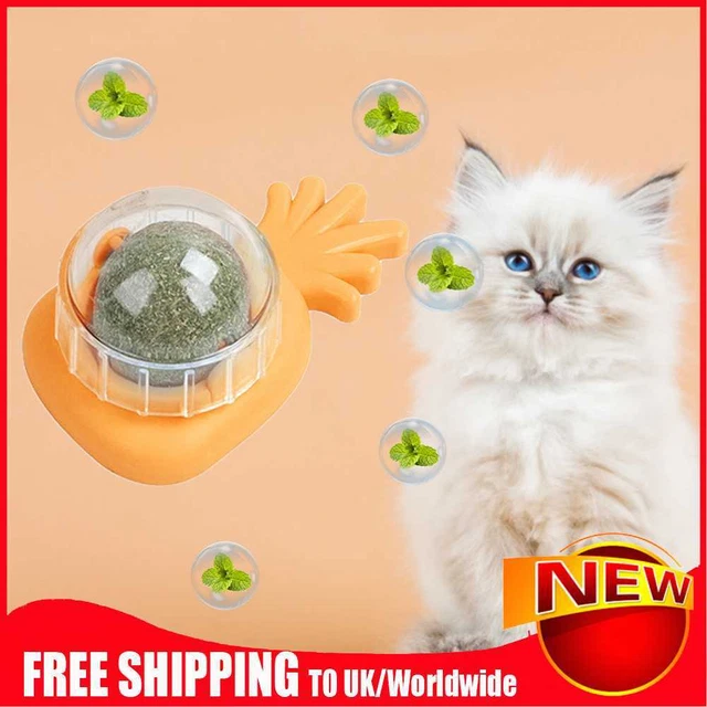 Bolas de piña hierba gatera golosinas juguetes saludables hierba gatera suministros para mascotas (naranja)