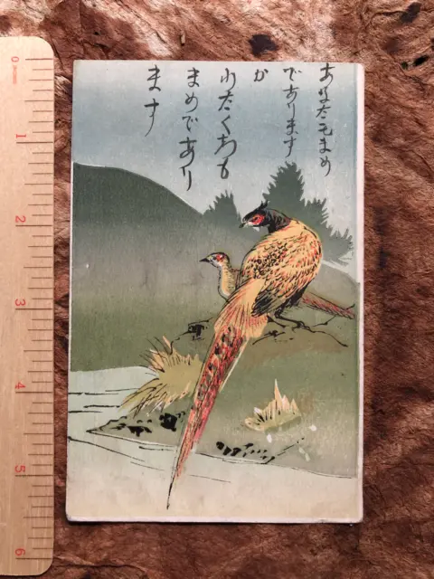 Russo Japanese War Keijo Korea Army Pheasant Bird Postcard to Japan 1906