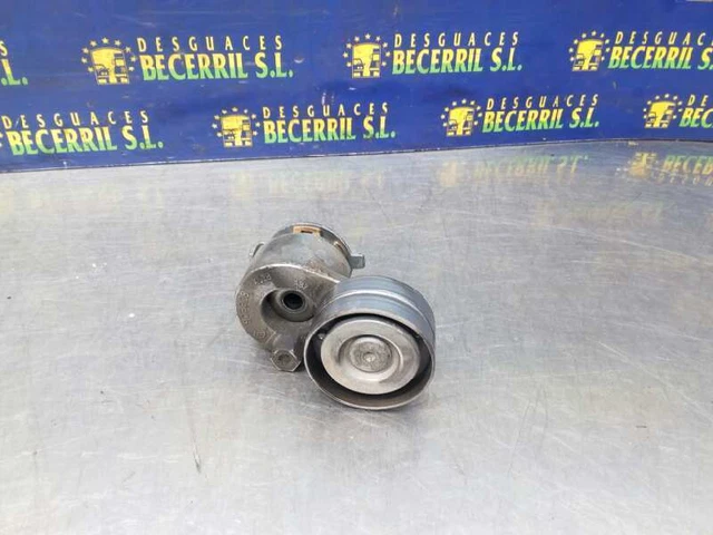905328 galet tendeur pour RENAULT MEGANE II 1.9 DCI (BM0G CM0G) 2003 1116791