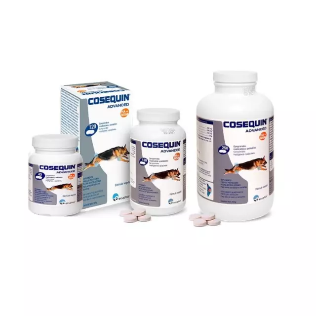 Cosequin¹Advanced HA+MSM protection joint articulation arthrose chien 40-250 cc