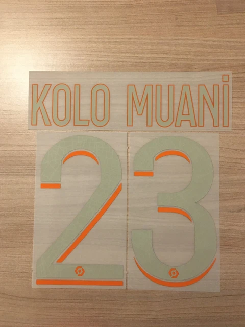 Flocage Officiel PSG 2023-2024 – L. Hernandez N°21 – Extérieur – Neuf Sans Boîte
