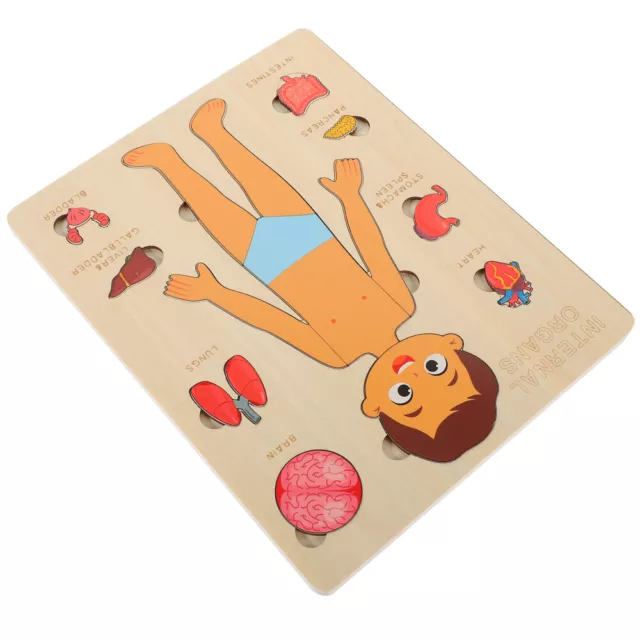 Preschool Science Teaching Aids Human Body Structure Puzzle Model