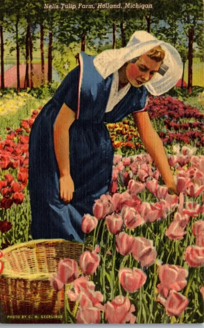 Vintage Holland Michigan MI Postcard Woman in Dutch Dress Nelis Tulip Farm 1940