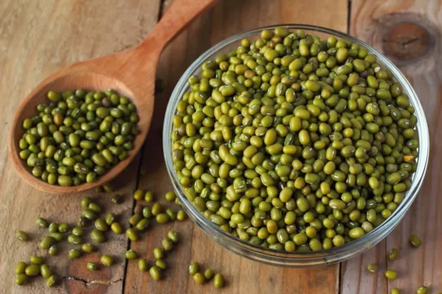 100% Certified Organic Australian Mung Beans Seeds Sprouting - Buy In Bulk!