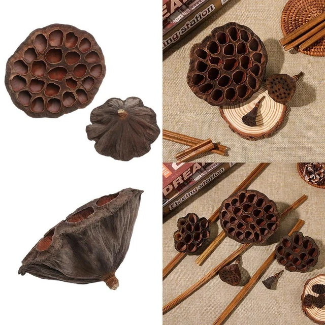 Emulación Decoraciones para el Hogar Marrón Loto Flor Secas Loto Flores Prensadas