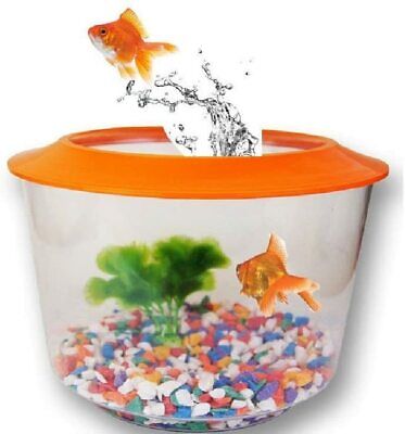 Goldfish Bowl Starter Set Tank Aquarium Bowl Lid , Gravel , Plant Goldfish Home