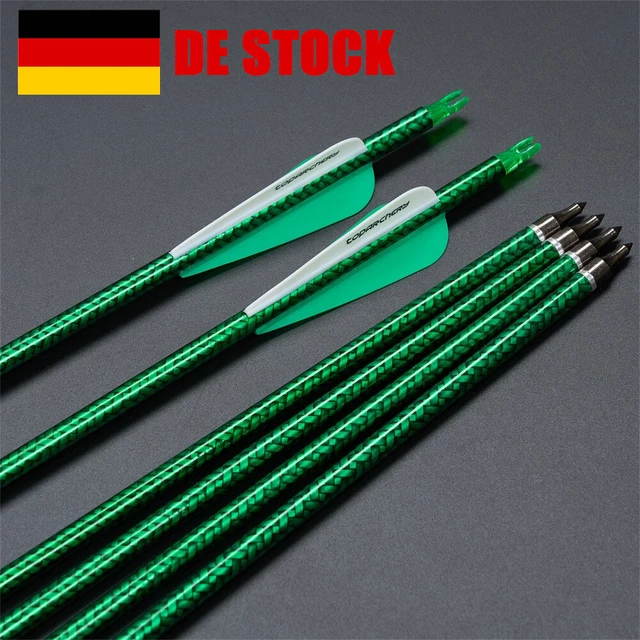 30& CARBONPFEIL SP500-550 Compound/Recurve Bogen Bogenschießen Jagd