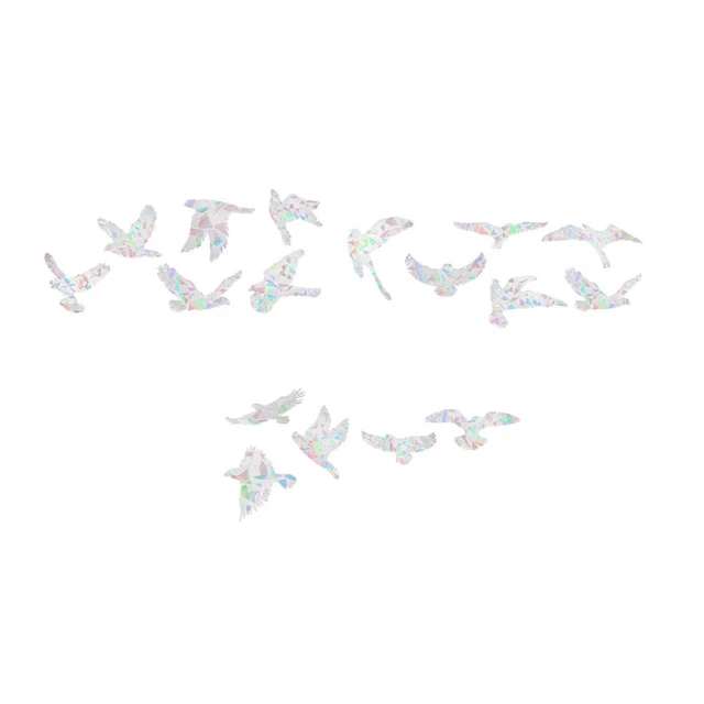 Fenêtre Des Oiseaux Autocollant De Fenêtre Décor Intérieur Appliqué