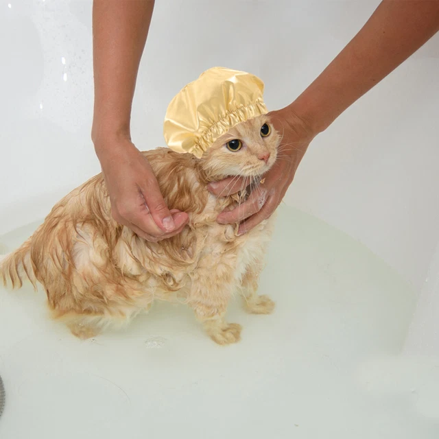 Gattino cappello doccia casa bagno per gatti cappello water proof cappello doccia saldato animale domestico