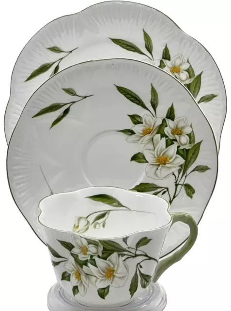 Shelley Tea Trio "Syringa 14063" Made in England.