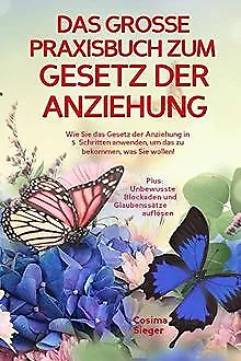 DAS GROSSE PRAXISBUCH ZUM GESETZ DER ANZIEHUNG! Wie Sie ... | Buch | Zustand gut