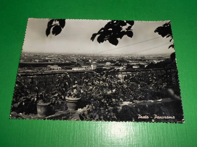 Cartolina Prato - Panorama 1954