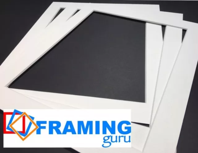 Picture And Photo Mounts in OffWhite / White Core Professional Computer CutBoard