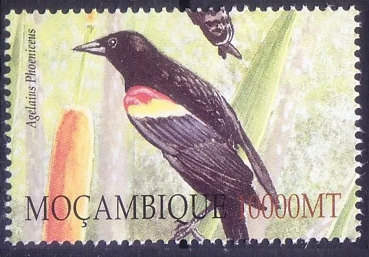Red-winged blackbird (Agelaius phoeniceus) Birds, Mozambique 2002 MNH