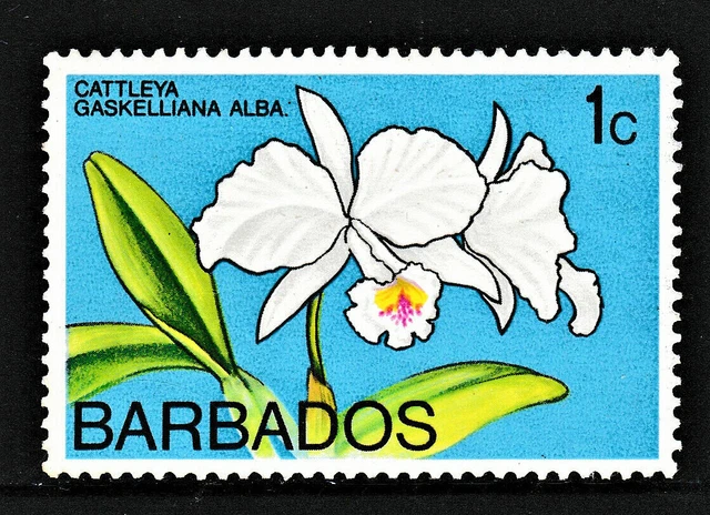 MNH 1c "Series: Orchids Definitive - Cattleya Gaskelliana" Barbados 1974