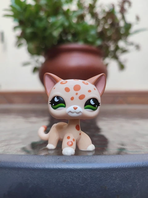Lps Cheetah Lps Shorthair Cat Leopard LITTLEST PET SHOP Shorthair