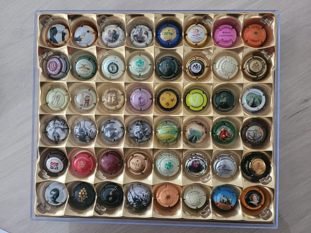 Lot de 48 Capsules de Champagne