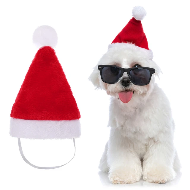 1pc Weihnachtshut Katzenhund Weihnachtsfit Accessoires Welpe Kätzchen