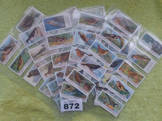 Ogdens REPRO British Birds - full set 50 cigarette Cards