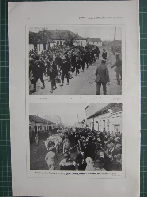 1916 Wwi Ww1 Print ~ Conquest Of Servia Prisoners Of German Troops Waggons