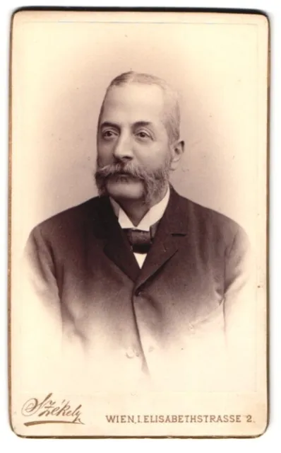 Fotografie Dr. Szekely, Wien, Elisabethstr. 2, Portrait Mann im Anzug mit Franz