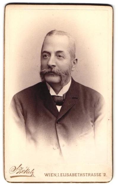 Fotografie Dr. Szekely, Wien, Elisabethstr. 2, Portrait Mann im Anzug mit Franz