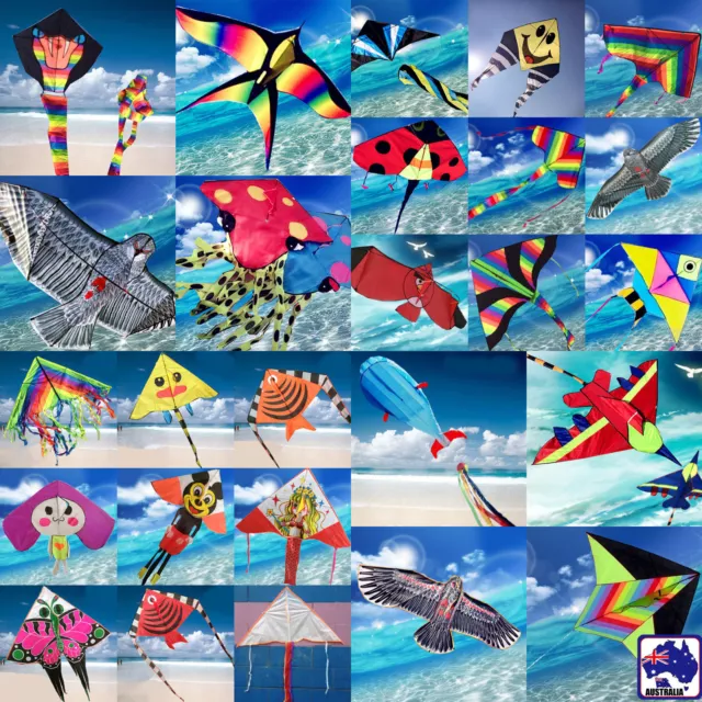 Kite Bird Hawk Plane Rainbow Delta Fish Ladybird Duck Kites line included OKITE