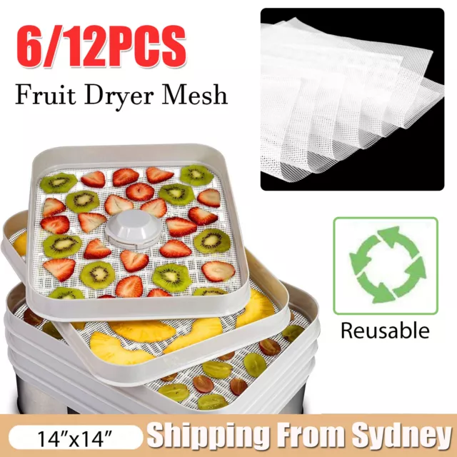 Silicone Dehydrator Sheets, Premium Non Stick Silicone Mesh for Fruit  Dehydrator, Dehydrator Tray Reusable 12Pcs 