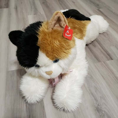 super esmeralda calico cat aurora
