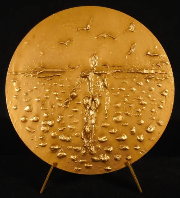 Médaille écologie libellule Yencesse 1975 80mm dragonfly Odonata insecte medal
