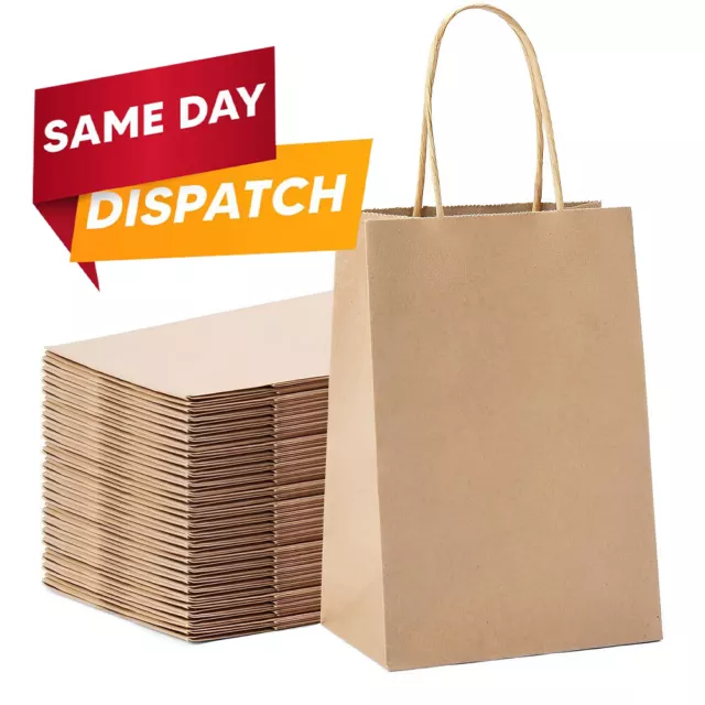 Brown Twisted Handle Paper Carrier Bags for Party and Gifts With Rope Handles