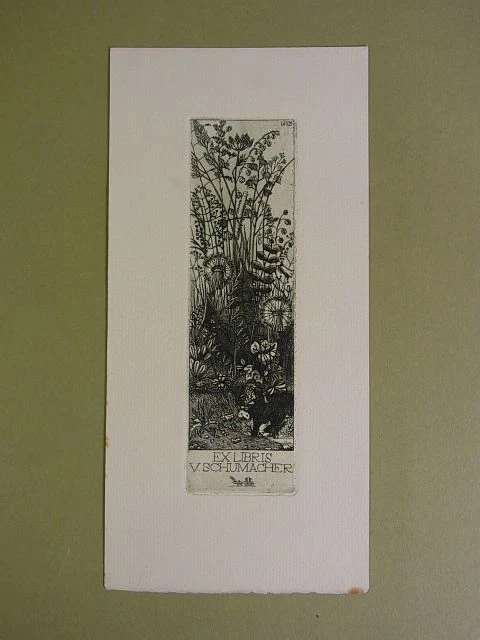 Hubert Wilm: Exlibris für V. Schumacher. Motiv: Blumen. Original-Radierung