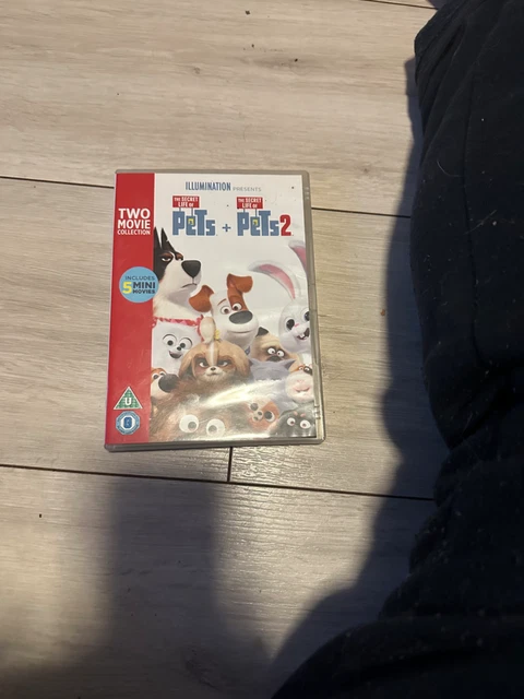 THE SECRET LIFE of Pets 2 (DVD, 2019, 1 Disc) £11.12 - PicClick UK